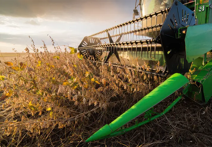 Mähdrescher erntet Getreide
